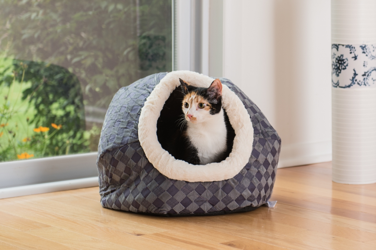 C44 Armarkat Cat Bed, Blue Checkered