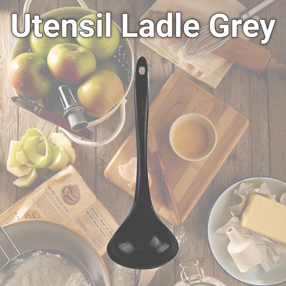 Picture of Reston Lloyd Utensil Ladle  Grey