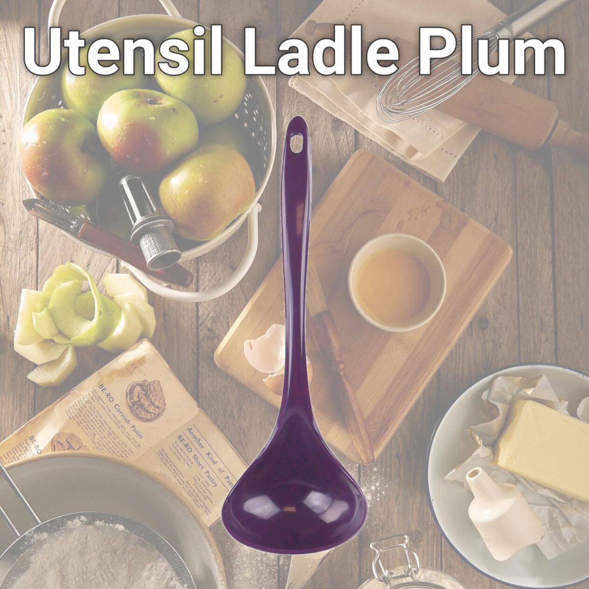 Picture of Reston Lloyd Utensil Ladle  Plum