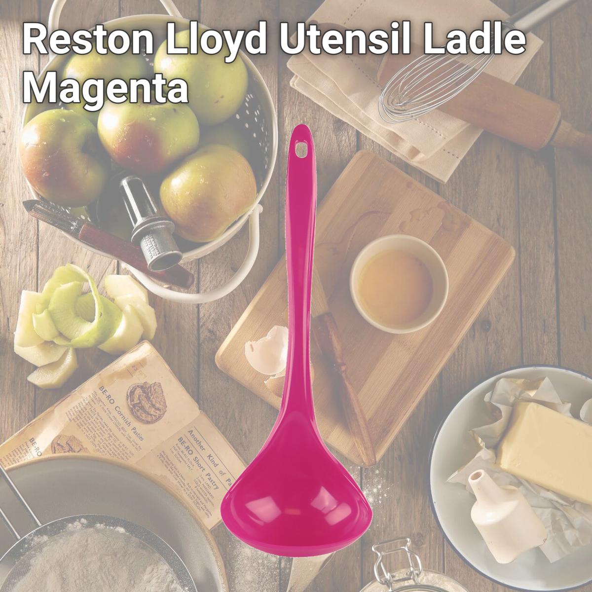 Picture of Reston Lloyd Utensil Ladle  Magenta