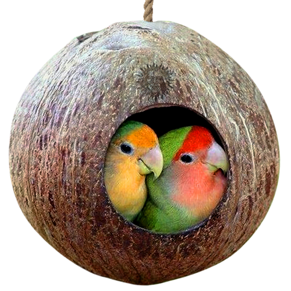 Pet-bird-toy-1-1hole Beautiful Nesting Home & Bird Feeder