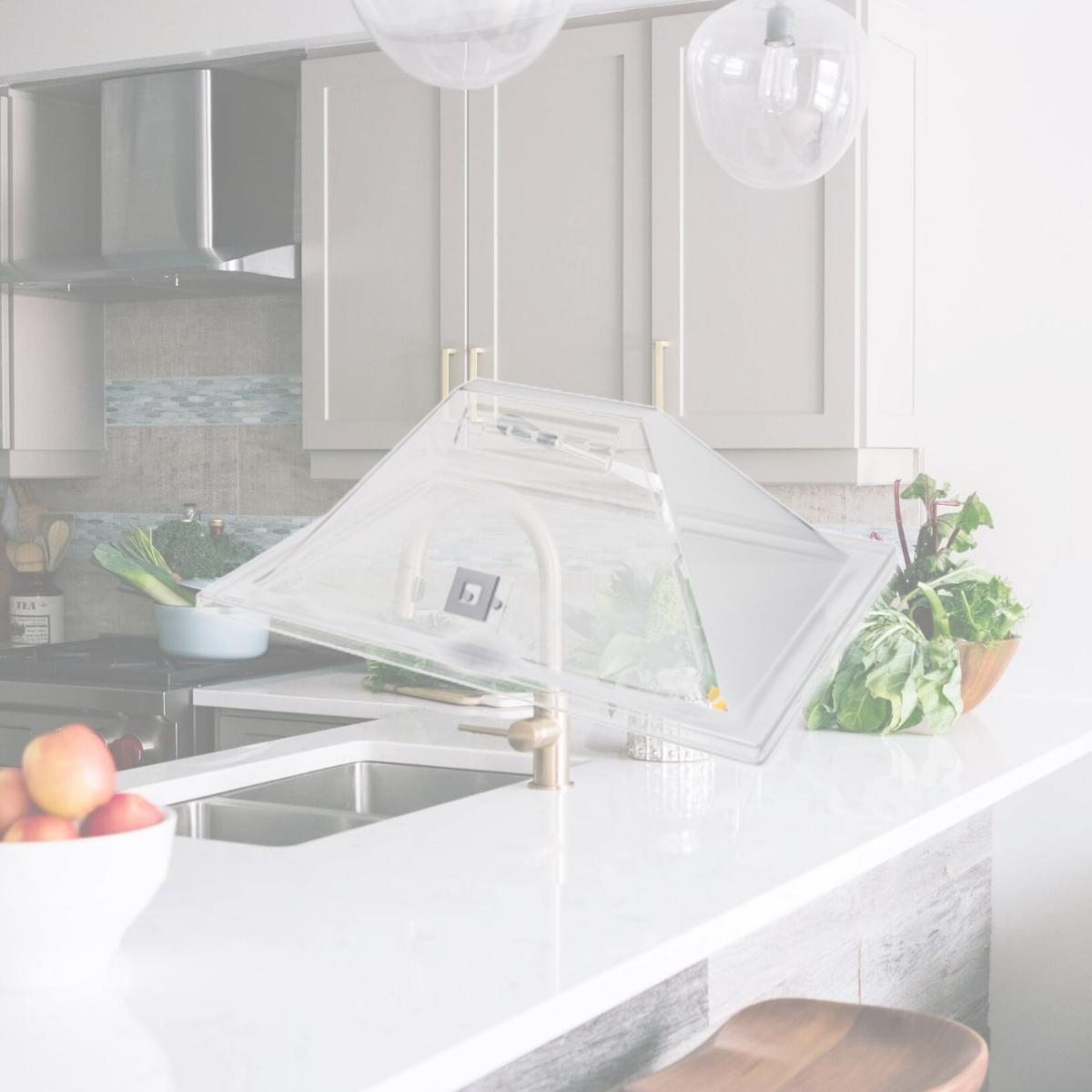 Picture of Rosseto Serving Solutions SA124 Pyramid Lid Clear Acrylic with Flip Up Door Rectangle - Extra Large