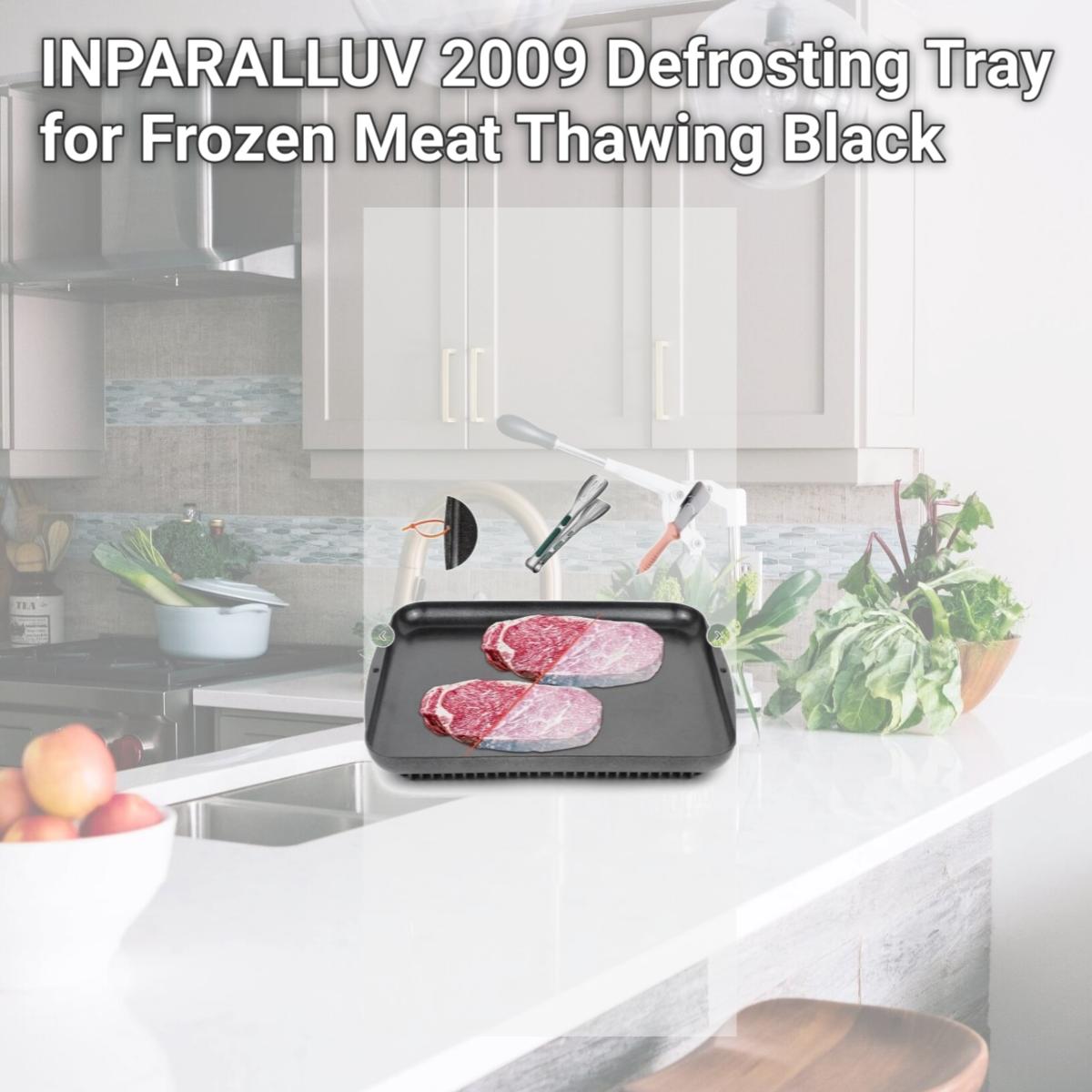 Picture of INPARALLUV 2009 Defrosting Tray for Frozen Meat Thawing Black