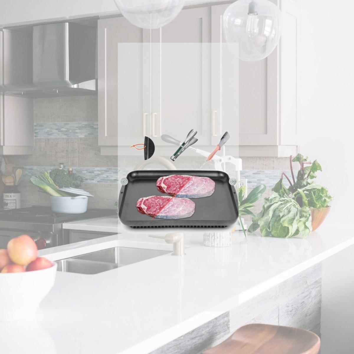 Picture of INPARALLUV 2009 Defrosting Tray for Frozen Meat Thawing Black