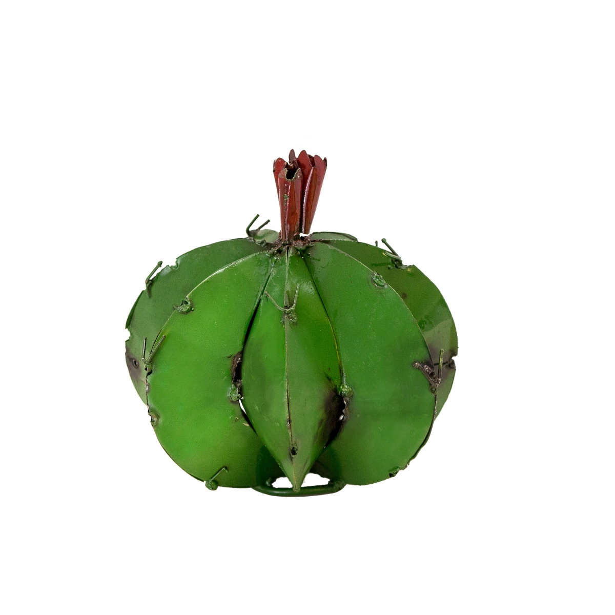 100864 Mini Barrel Cactus, Multi Color