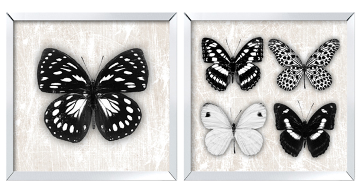 4063 Butterfly Mirror Framed Prints Wall Art - Set Of 2