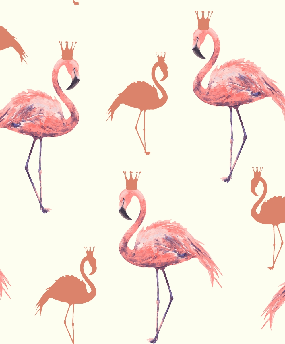 674700 Flamingo Queen Wallpaper, Coral