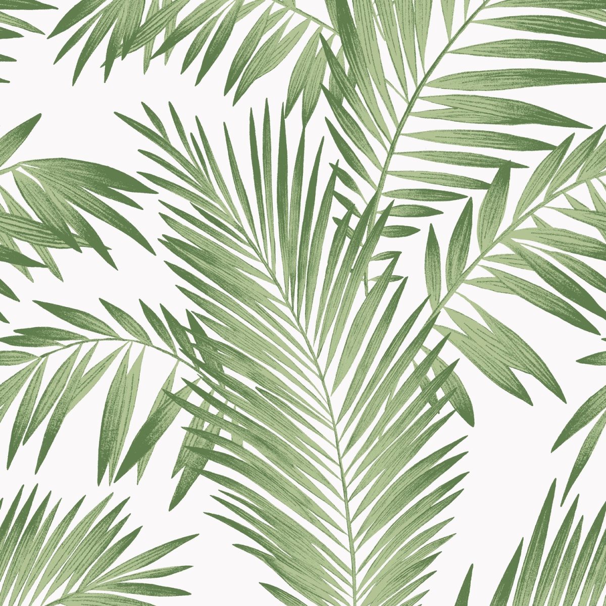 694800 Tropical Palm Wallpaper, Green