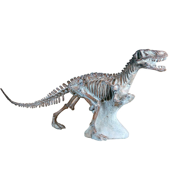11164967 Dinosaur Skelton, White
