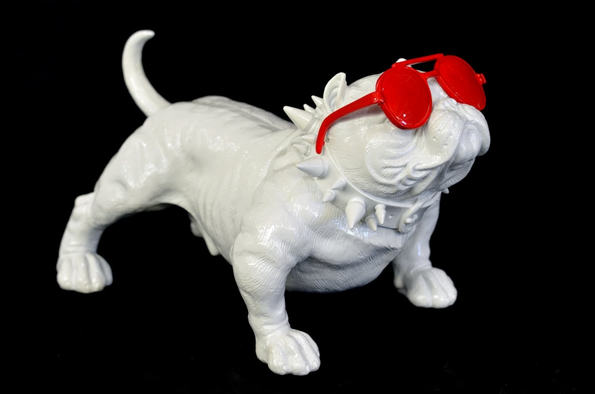 12010012 Cool Maxi Dog, White & Red - 10 X 15.75 X 10 In.