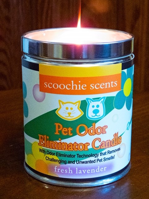 261 Lavender Pet Odor Removing Candle - 13 Oz