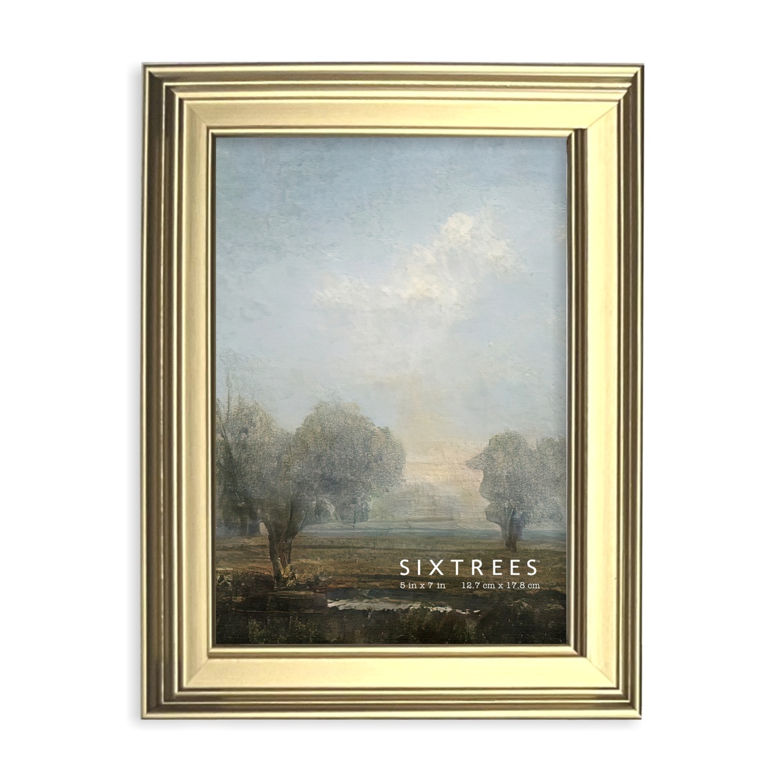 16457 5 x 7 in. Fiona Gold Picture Frame