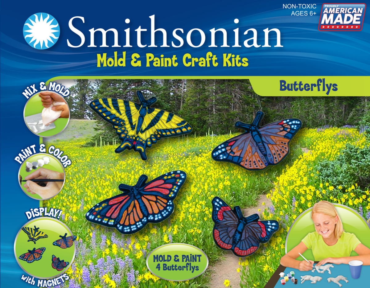 6582 22 X 11 X 10 In. Butterflies Mold & Paint Kit