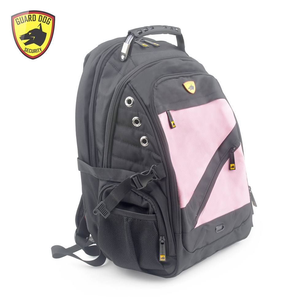 Bp-gdps100pk Proshield Ii Smart Bulletproof Backpack With Charging Bank, Pink