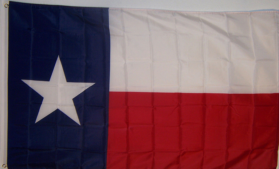 7031 3 X 5 In. Super Polyester Texas Flag Indoor Outdoor