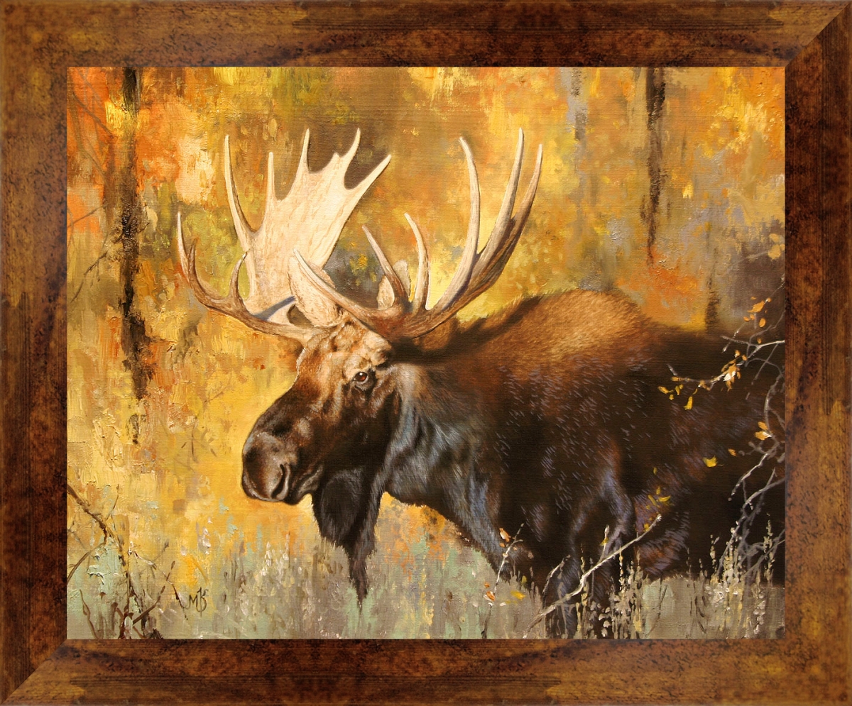 5800 Autumn Moose Study, Framed Giclee Canvas Art