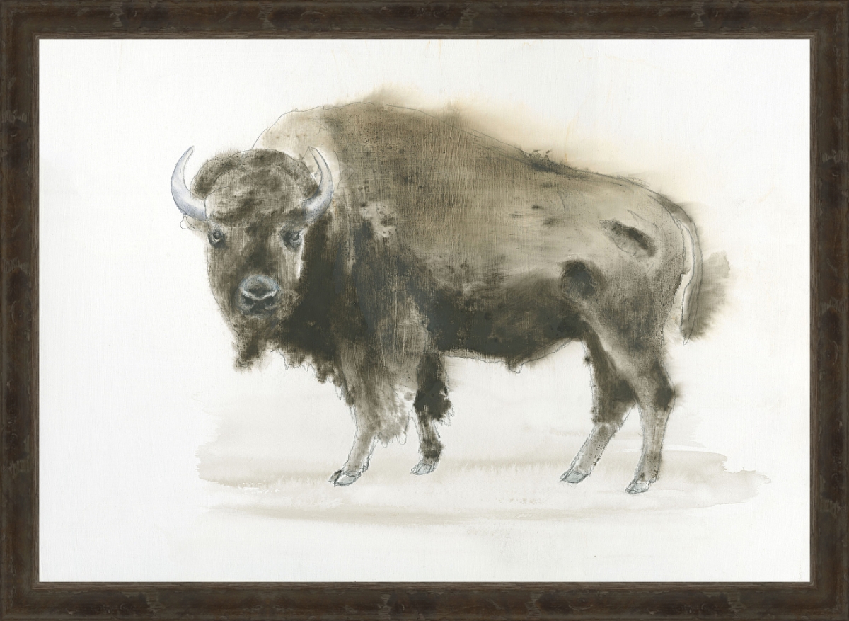 5863 Buffalo, Framed Textured Fine Art Print - Rustic Grey Wooden