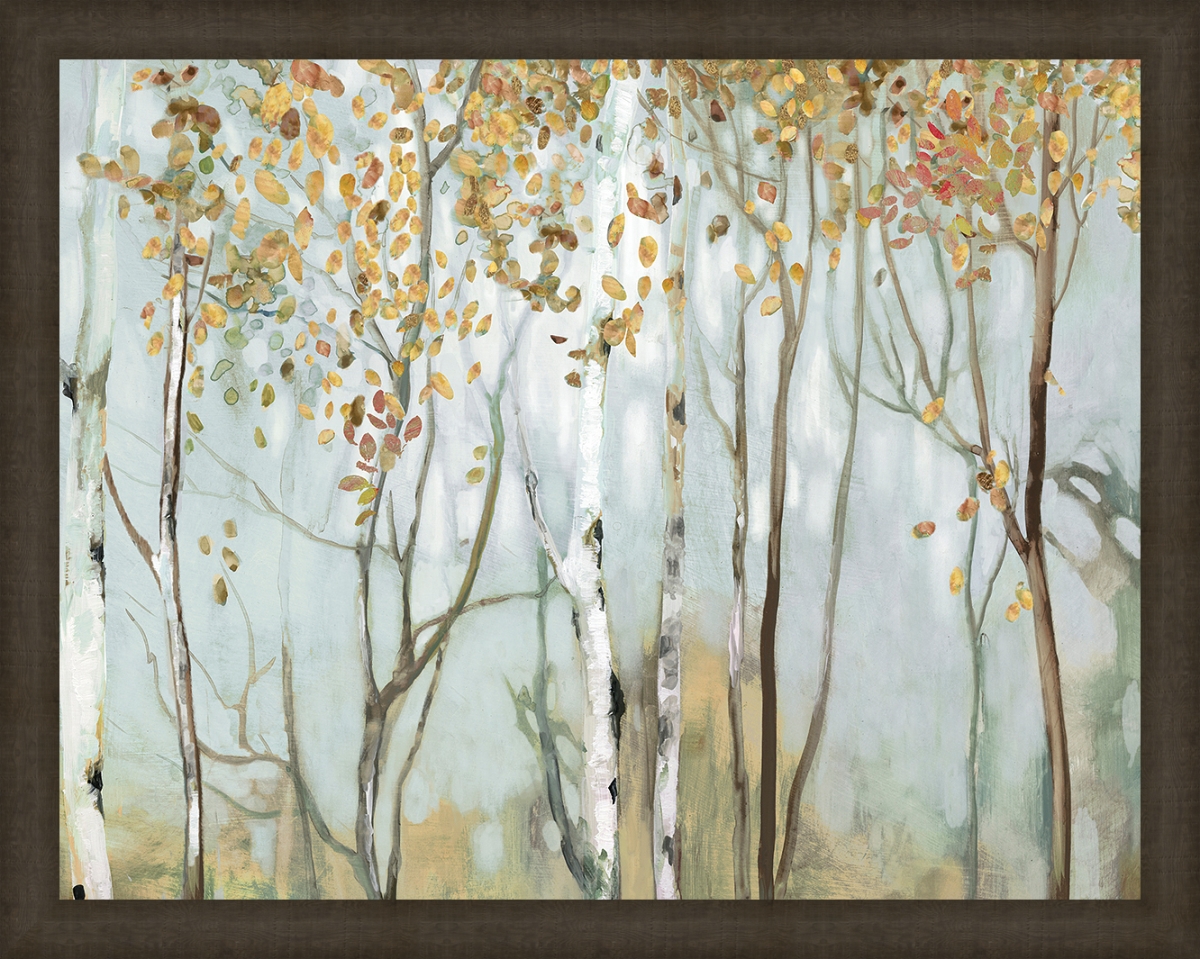 5870 Birch In The Fog Ii, Framed Giclee Canvas Art - Rustic Look Brown