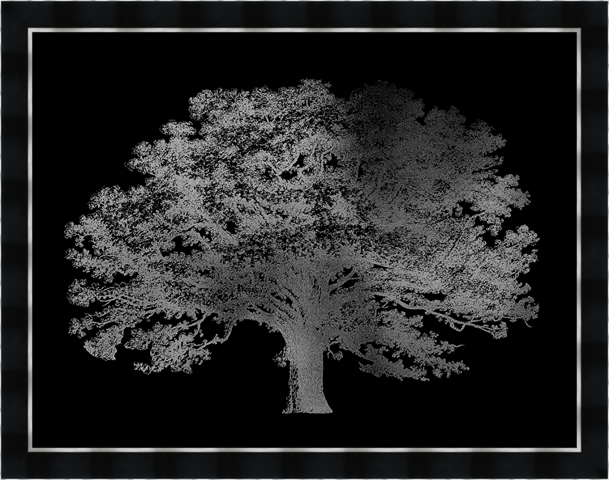 2259 Silver Foil Elephant Tree On Black, Framed Textured Fine Art Print
