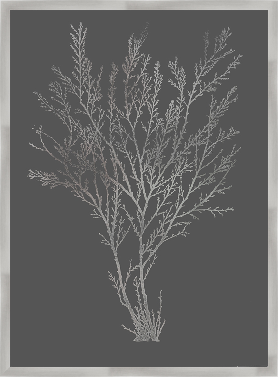 Silver Foil Algae I On Dark Grey, Framed Textured Fine Art Print