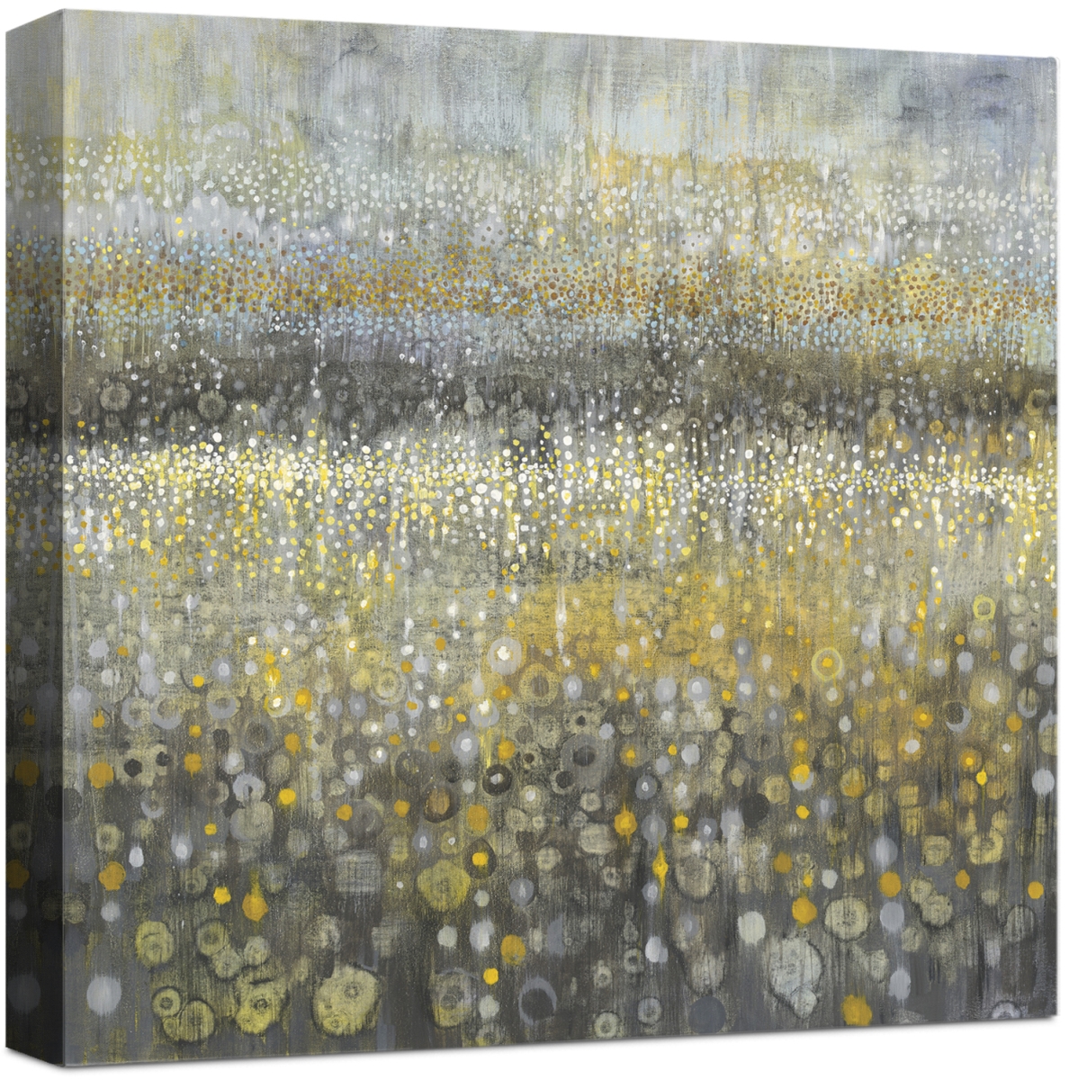 5775 Rain Abstract Ii, Wrapped Giclee Canvas Art - Grey & Gold