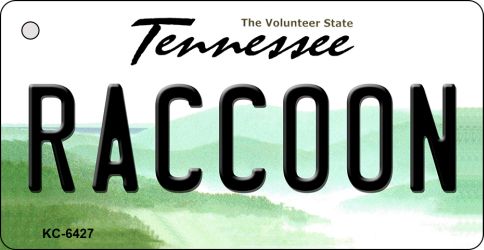 Kc-6427 Raccoon Tennessee License Plate Key Chain - 6 X 1.5 In.