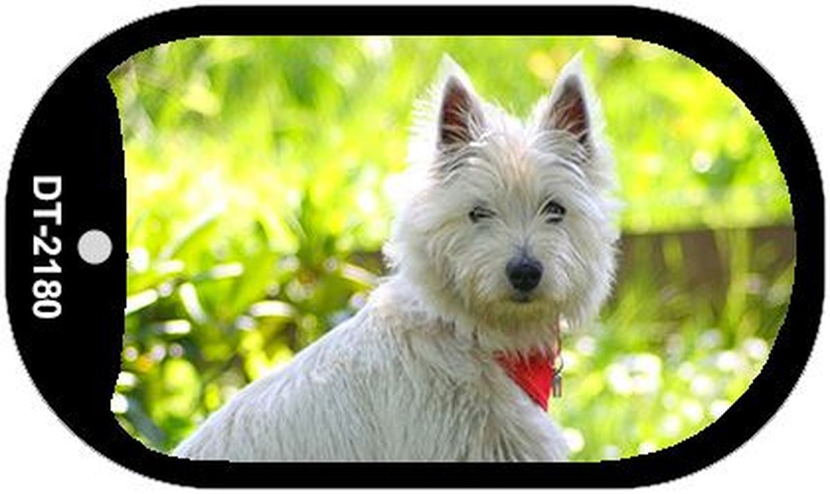 Dt-2180 1.5 X 2 In. West Highland White Terrier Novelty Metal Dog Tag Necklace