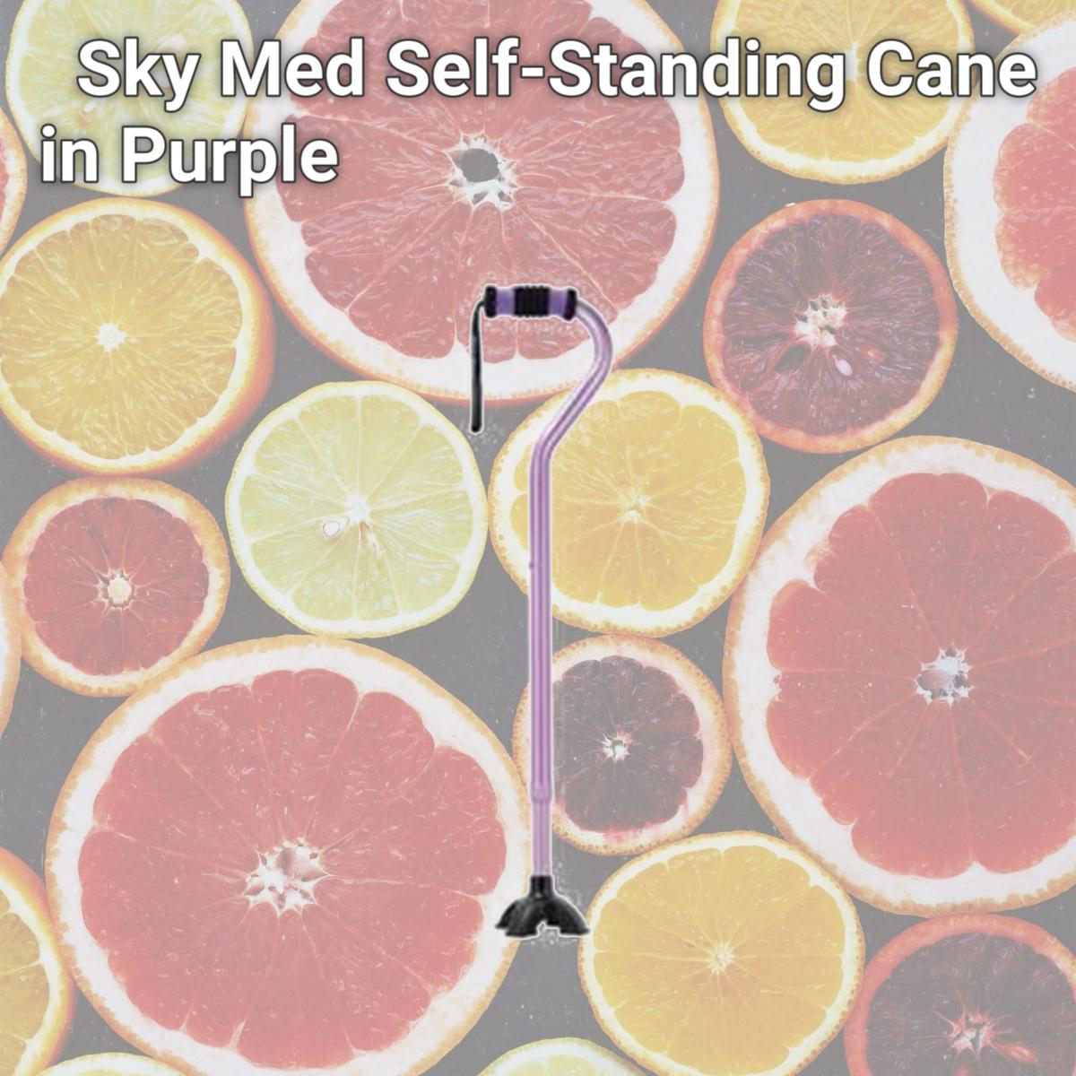 Picture of Sky Medsupply International SM-060001PPQ Sky Med Self-Standing Cane in Purple
