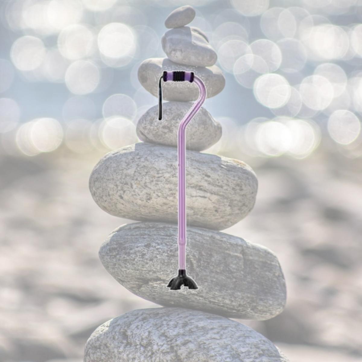 Picture of Sky Medsupply International SM-060001PPQ Sky Med Self-Standing Cane in Purple