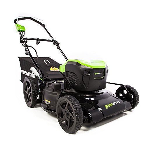 2507702 21 In. 13a Corded Lawn Mower, Green & Black