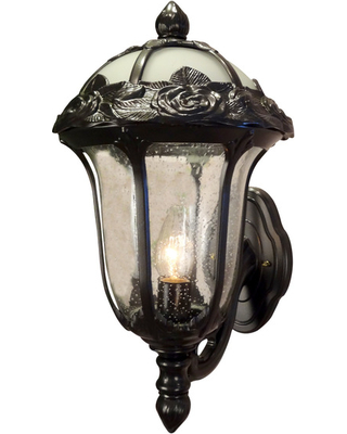 F-2711-orb-sg Rose Garden Medium Top Mount Light With Seedy Glass, Oil Rubbed Bronze