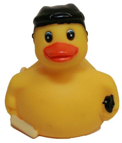 Assurance Sp6530 Career Hockey Duck Toy