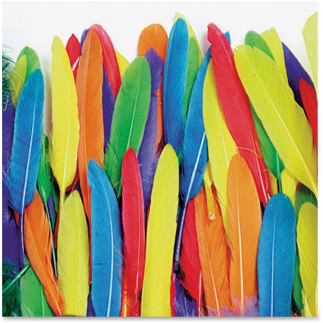 Chenille Kraft CKC4505 Duck Quill Feathers 96 Count - Multicolor Chenille Kraft CKC4505 Duck Quill Feathers 96 Count - Multicolor