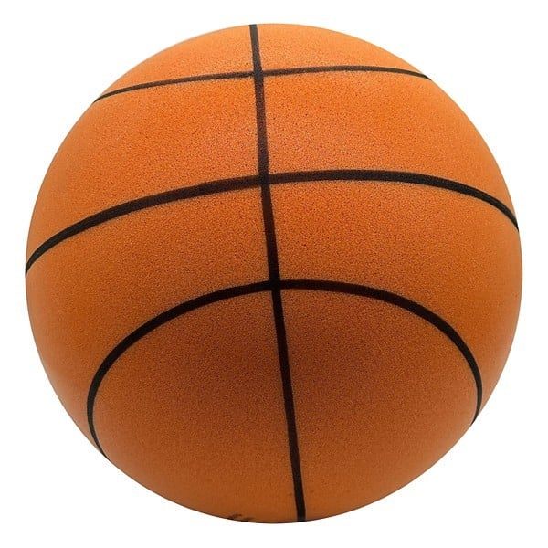1483048 Women s Silent Basketball
