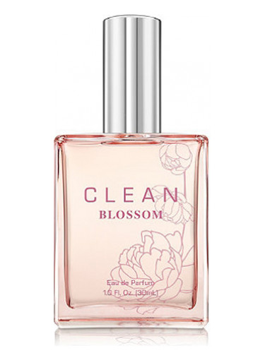 10053576 Blossom Ladies Eau De Parfum Spray