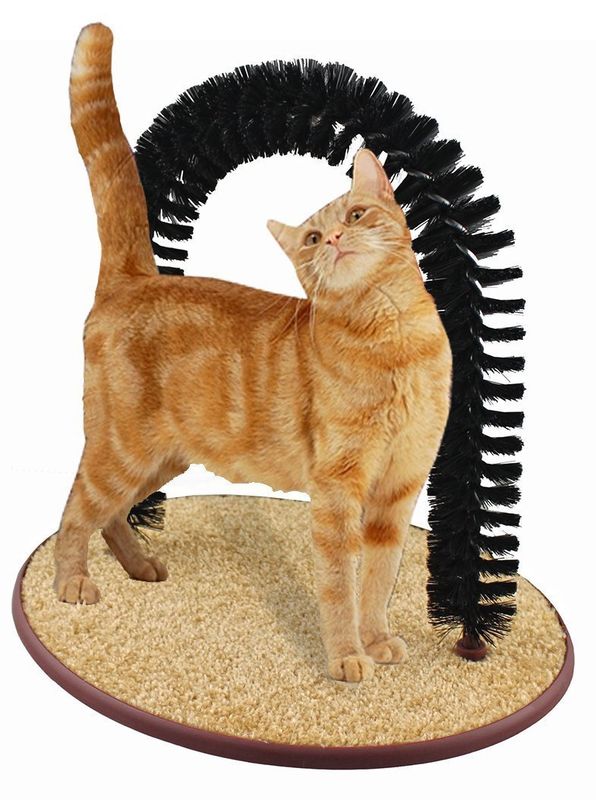 3830921 14.5 In. Perfect Cat Grooming Arch With Bag Of Catnip