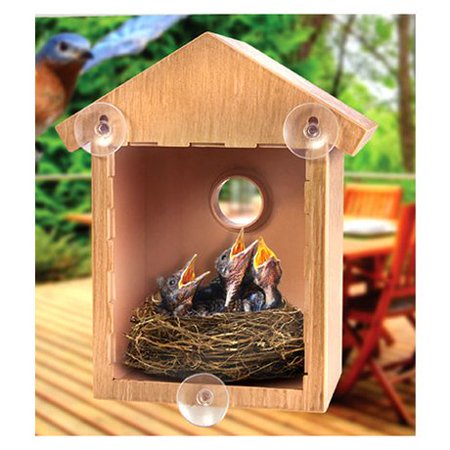 2042696 See Through Window Mirrored Suction Cup Bird House