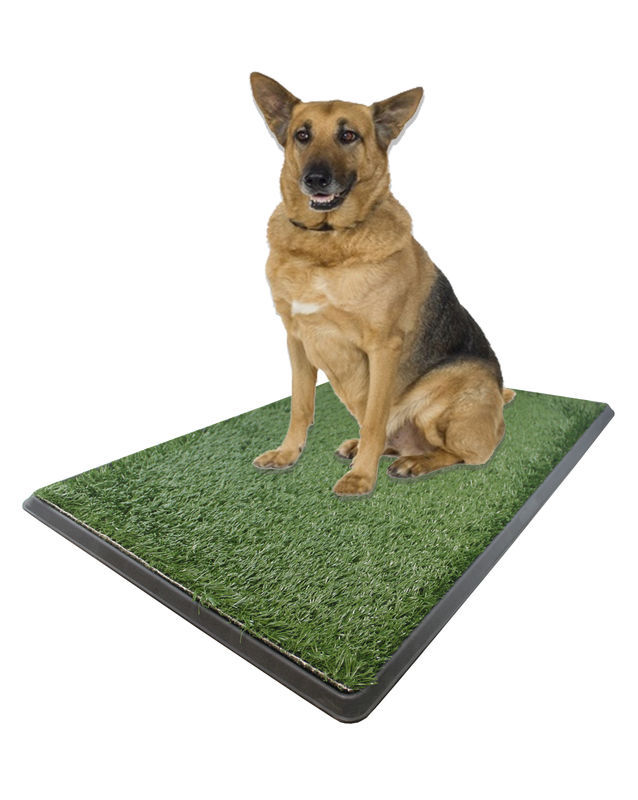 2042260 30 X 20 X 2 In. Extra Large Pet Potty Patch For Indoor & Outdoor