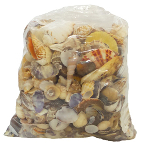 U.s. Shell 08009 Medium Seashells World Mix - 5 Lbs