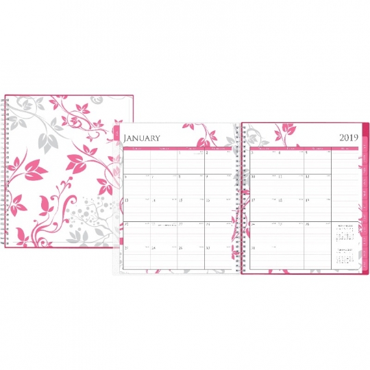 Blue Sky 101621 8 X 10 In. Bca Cyo Alexandra Monthly Planner, Rose & Silver