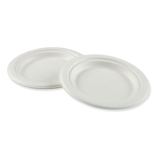 Platewf6 6 In. Bagasse Molded Fiber Dinnerware Plate, White