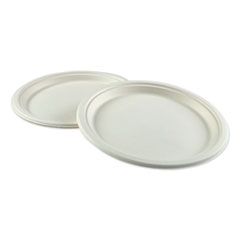 Platewf10 10 In. Bagasse Molded Fiber Dinnerware Plate, White