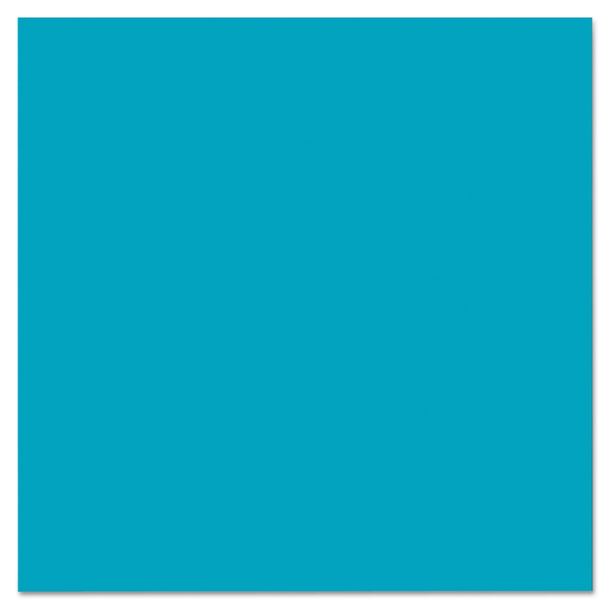Pacon MMK04707 28 x 22 in. Plastic Poster Board Azure Pacon MMK04707 28 x 22 in. Plastic Poster Board Azure