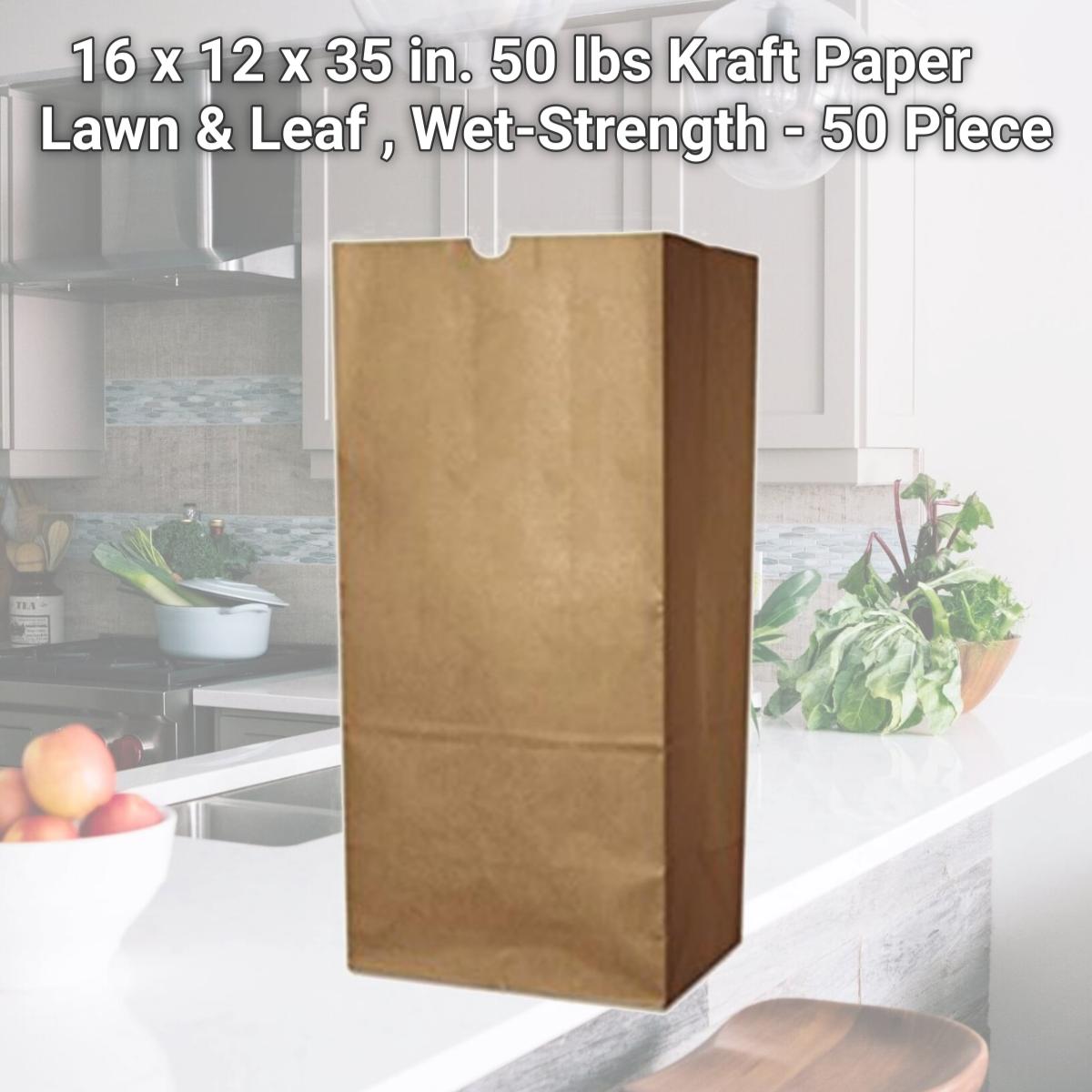 Picture of BAG RBR30105BO 16 x 12 x 35 in. 50 lbs Kraft Paper Lawn & Leaf Bag, Wet-Strength - 50 Piece