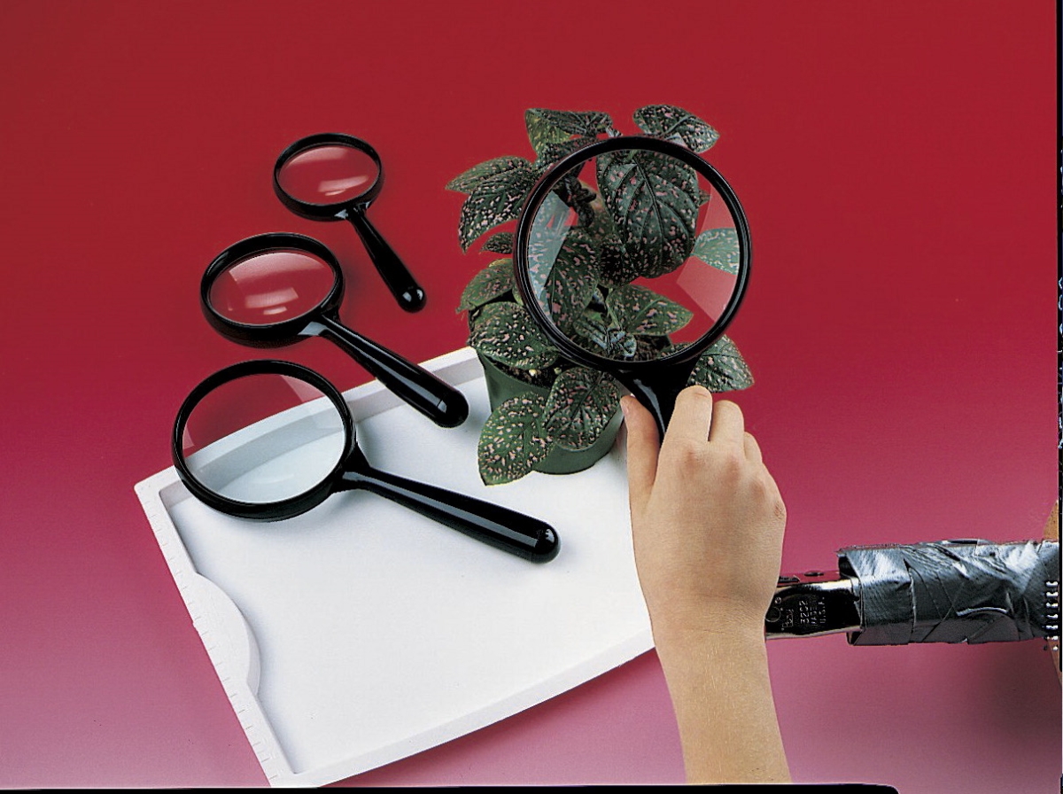 130-4599 Magnifiers Assorted Sizes Classroom Set - 2.5 X 3 X 3.5 X 4 In.