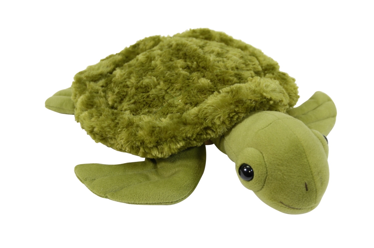 1543183 Weighted Turtle, 5 Lbs