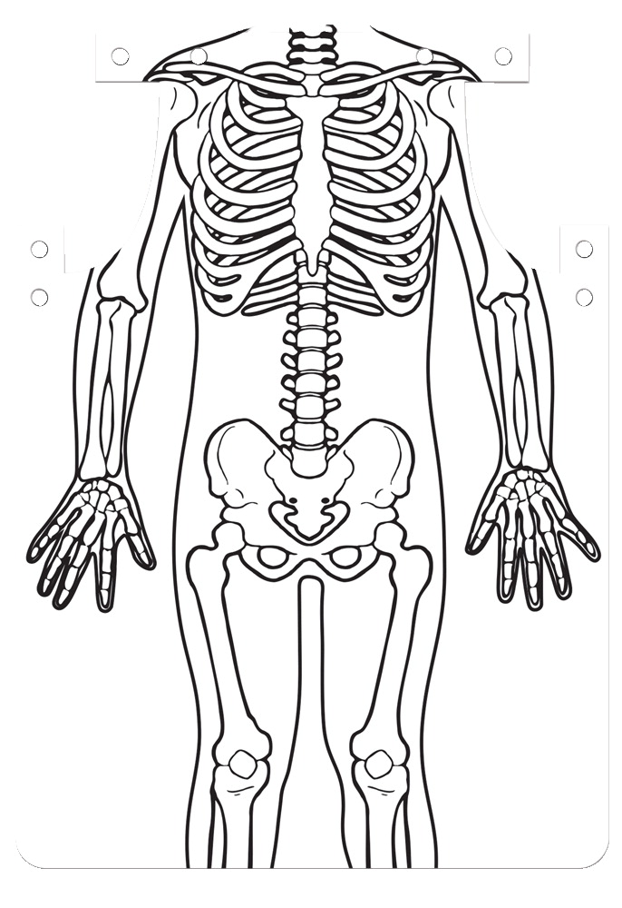 1604143 Inside Skeleton Aprons