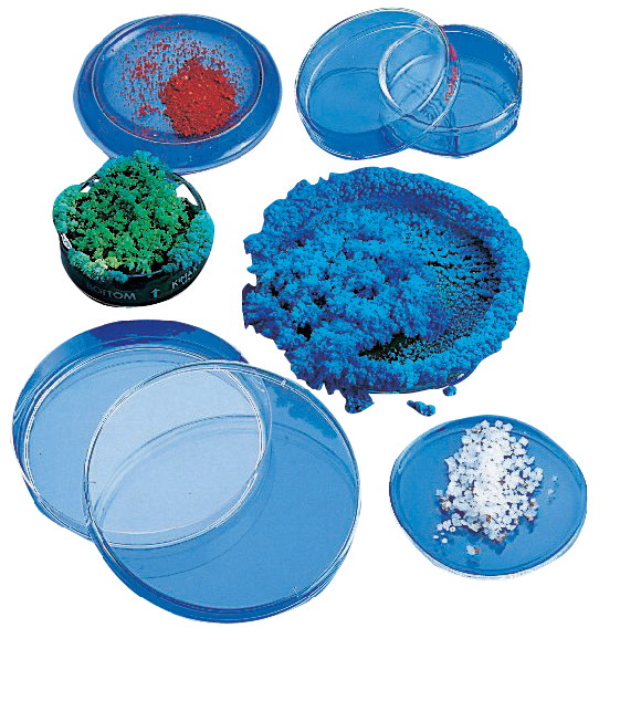 160-4613 Plastic Petri Dishes - Pack Of 30