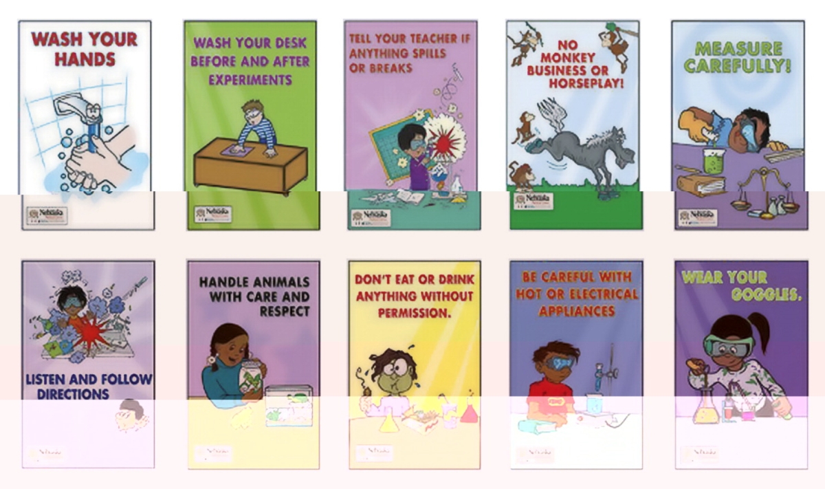 1448784 11 X 17 In. Lab Safety Posters - Set Of 10