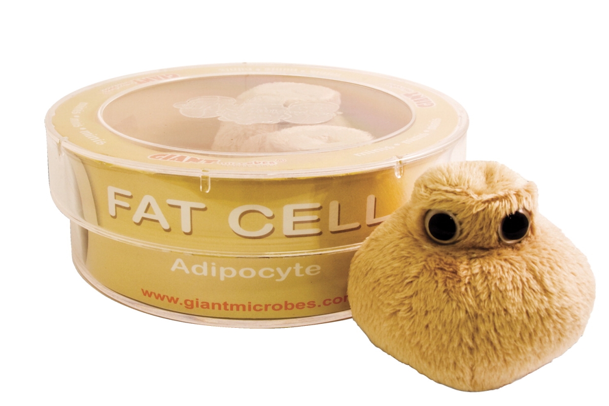 1490477 Fat Cell Petri Dish - 3 Mini Plush Microbes